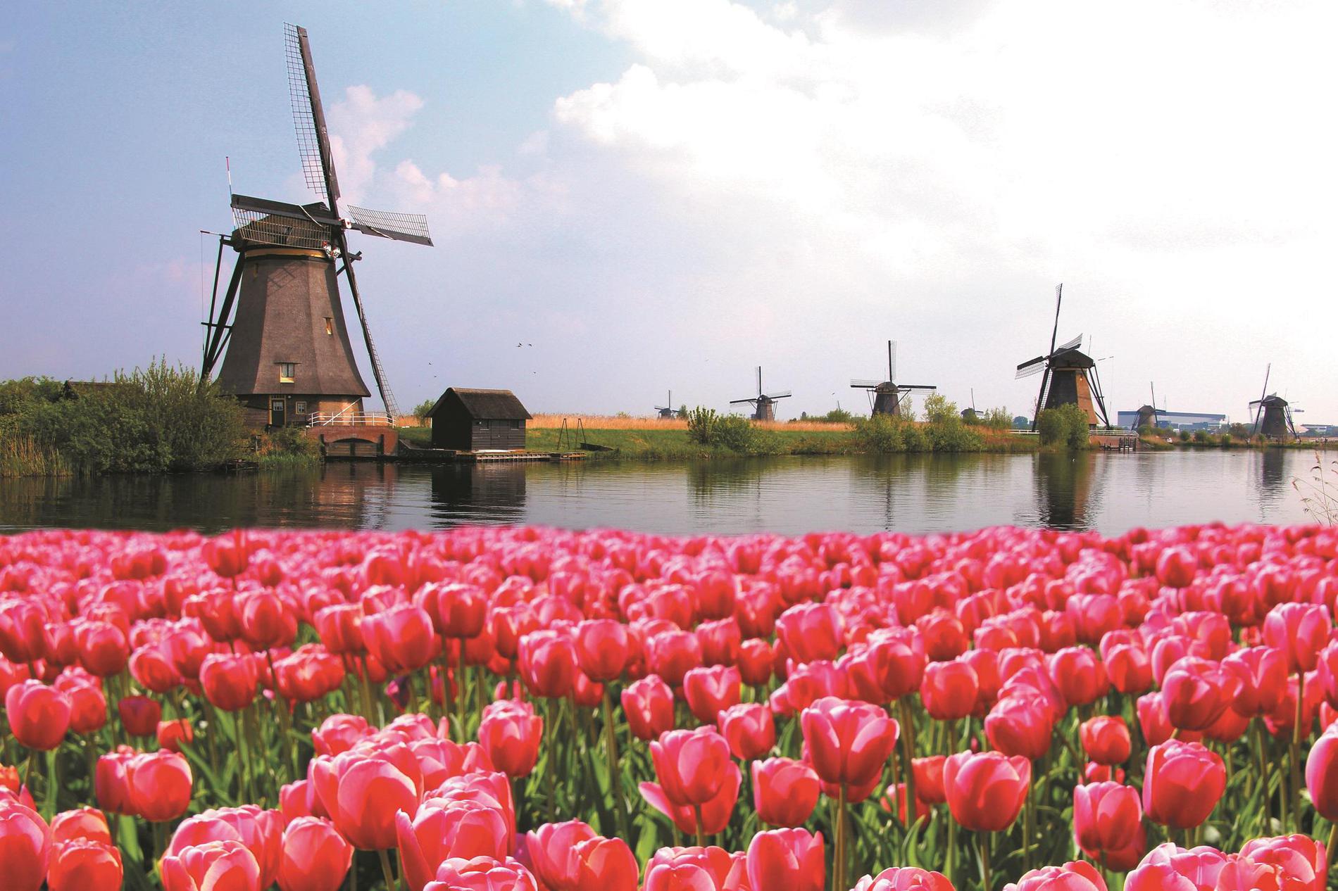 Images Cruise Planners - Joey Stotsky