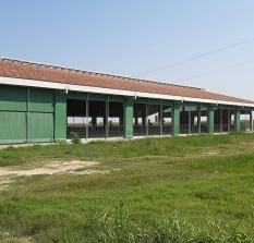 Images Agrimecc srl
