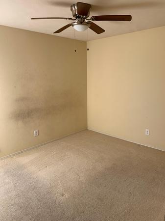 Images Tidy Upped Cleaning Services