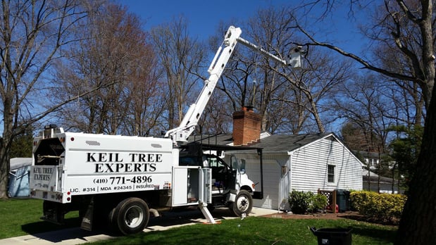 Images Keil Tree Experts Inc