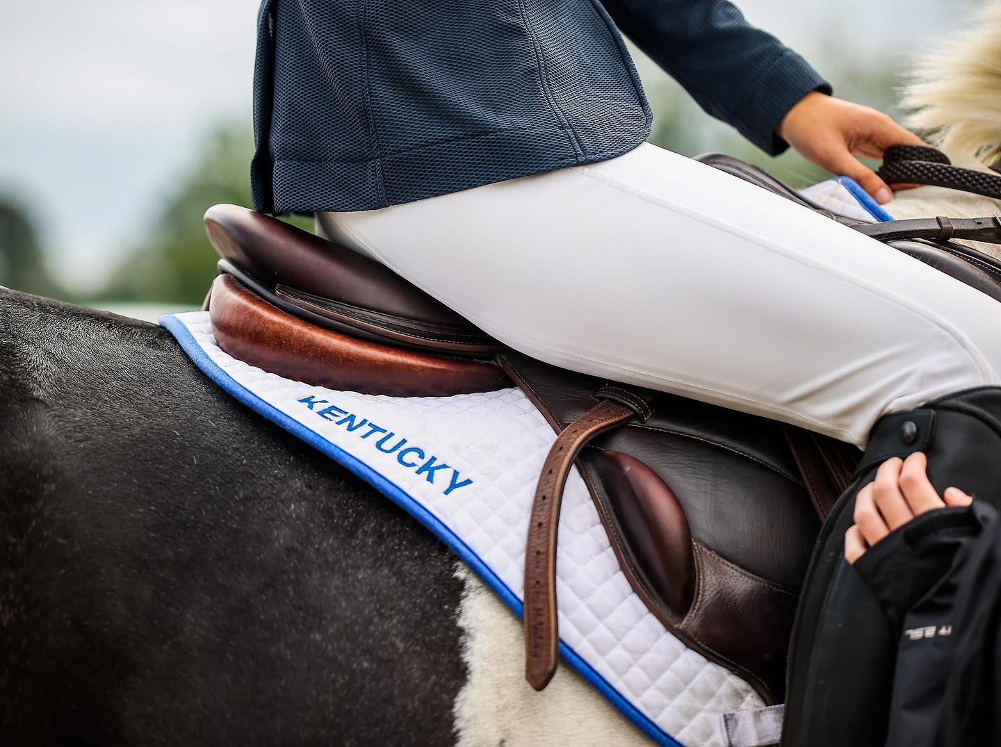 Classic Engraving and Embroidery Image