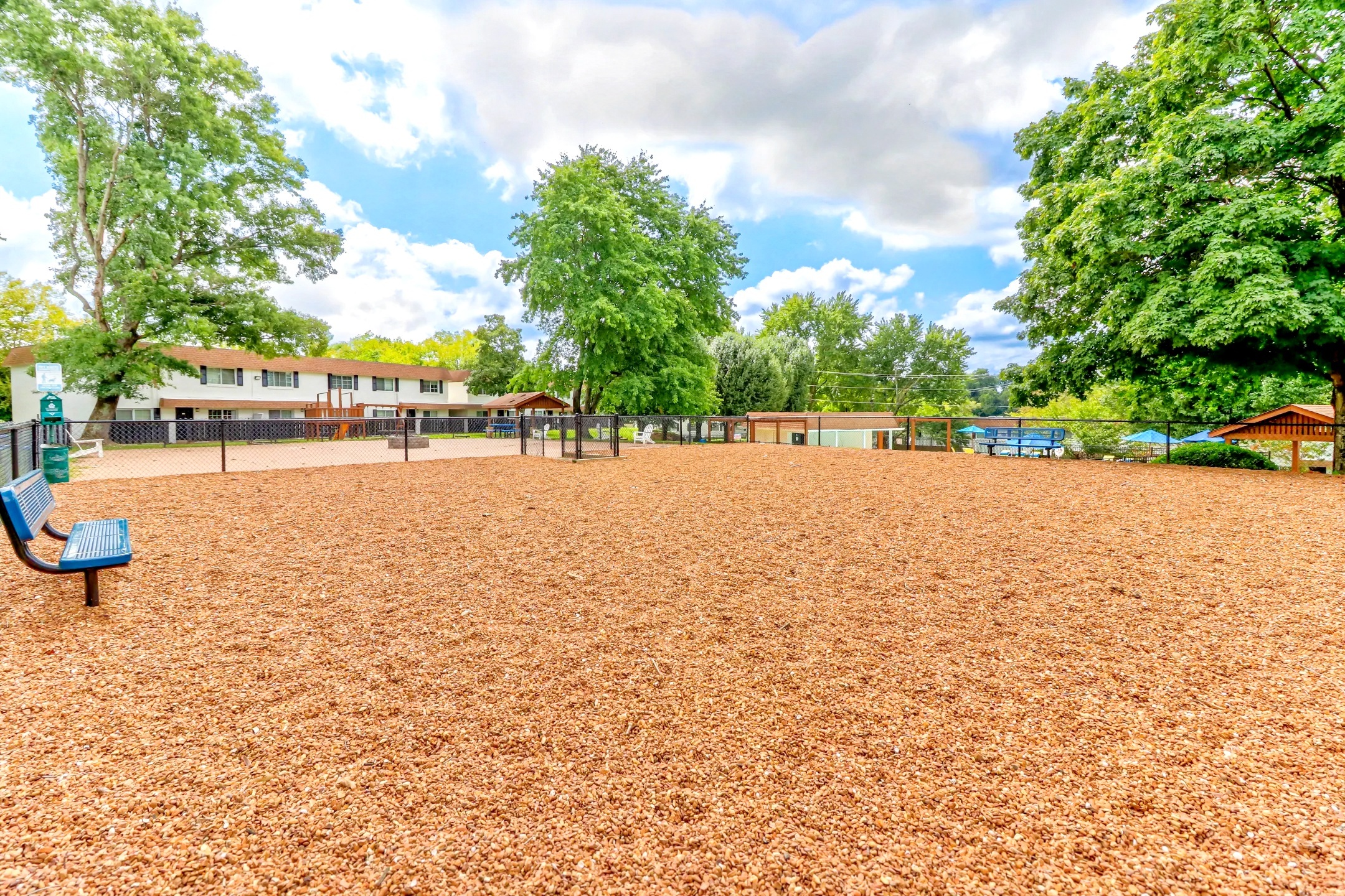 Dog Park