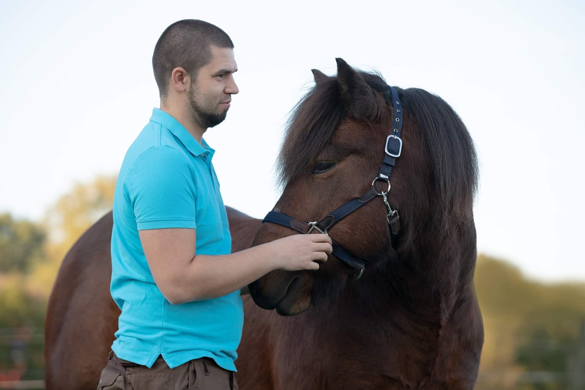 Tierphysiotherapie Leif Atkins - Mobile Physiotherapie für Pferde und Hunde in Ottweiler