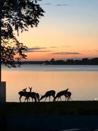 Images Sunrise Point at Cedar Creek Lake
