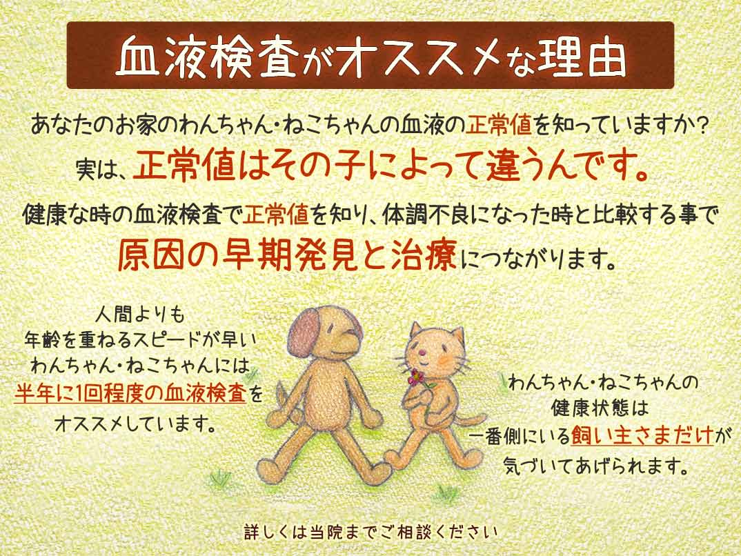 Images ペテモ動物病院西新井