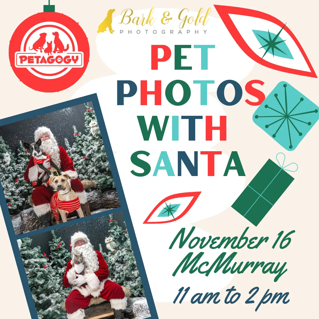 Image of Local Pet Event Pet Photos with Santa at Petagogy South Hills Nearby