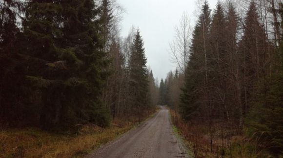 Images Etelä-Suomen metsätilat LKV