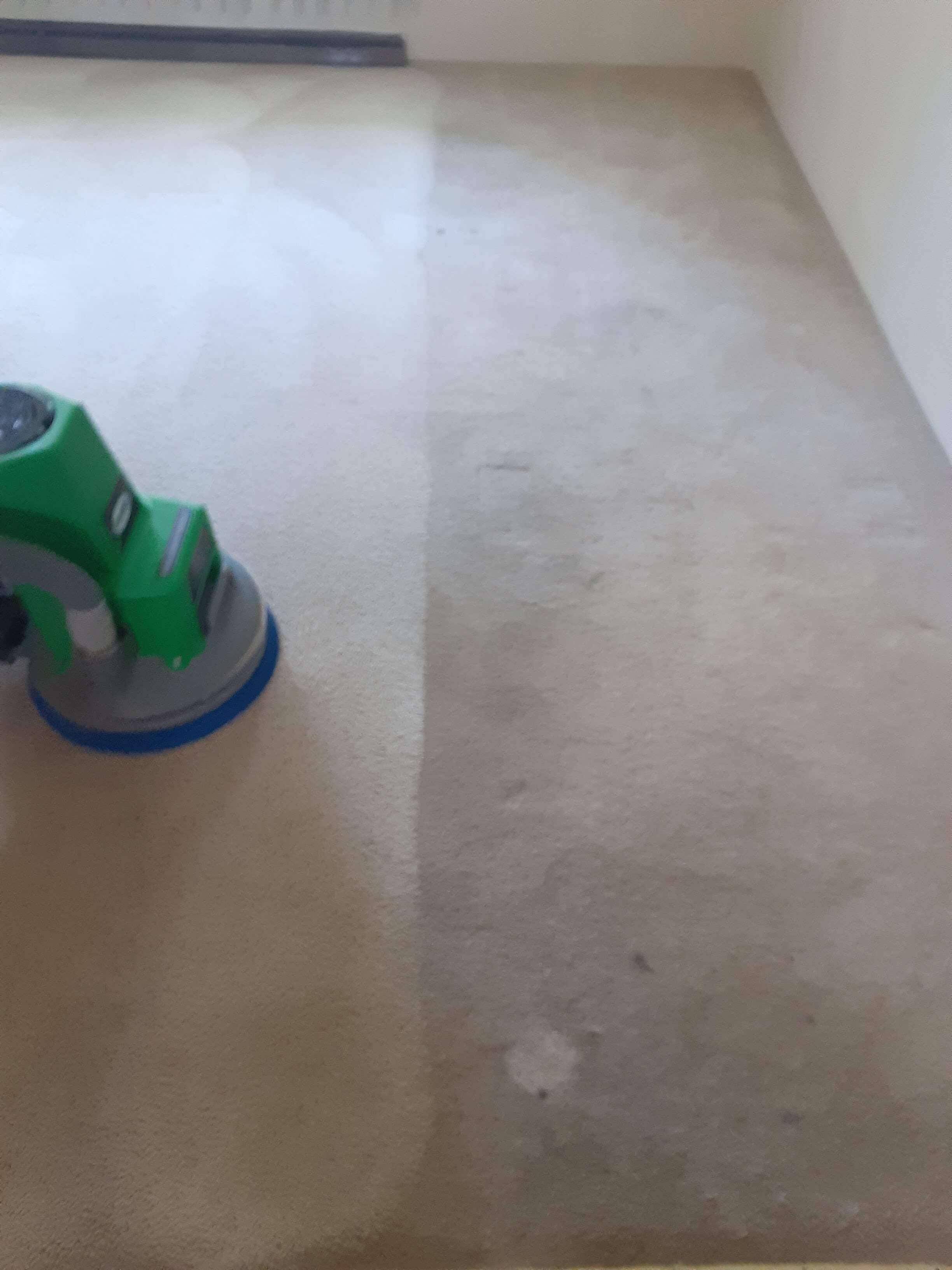 Carpet Cleaning in Davison, MI