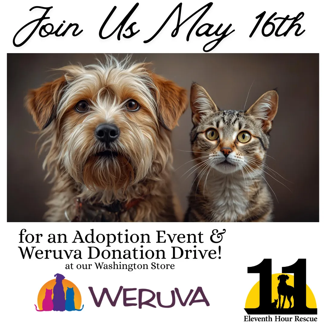 Image of Local Pet Event 11th Hour Rescue Adoption Event and Weruva Donation Drive! Nearby