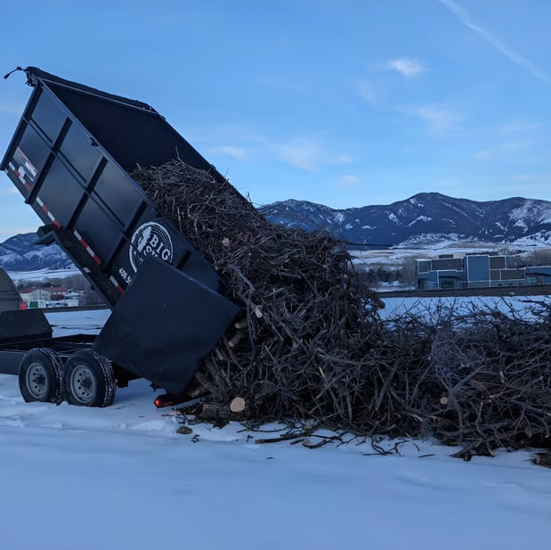 Images Big Sky Tree Care