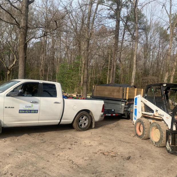 Images Cactus Tree Services, LLC