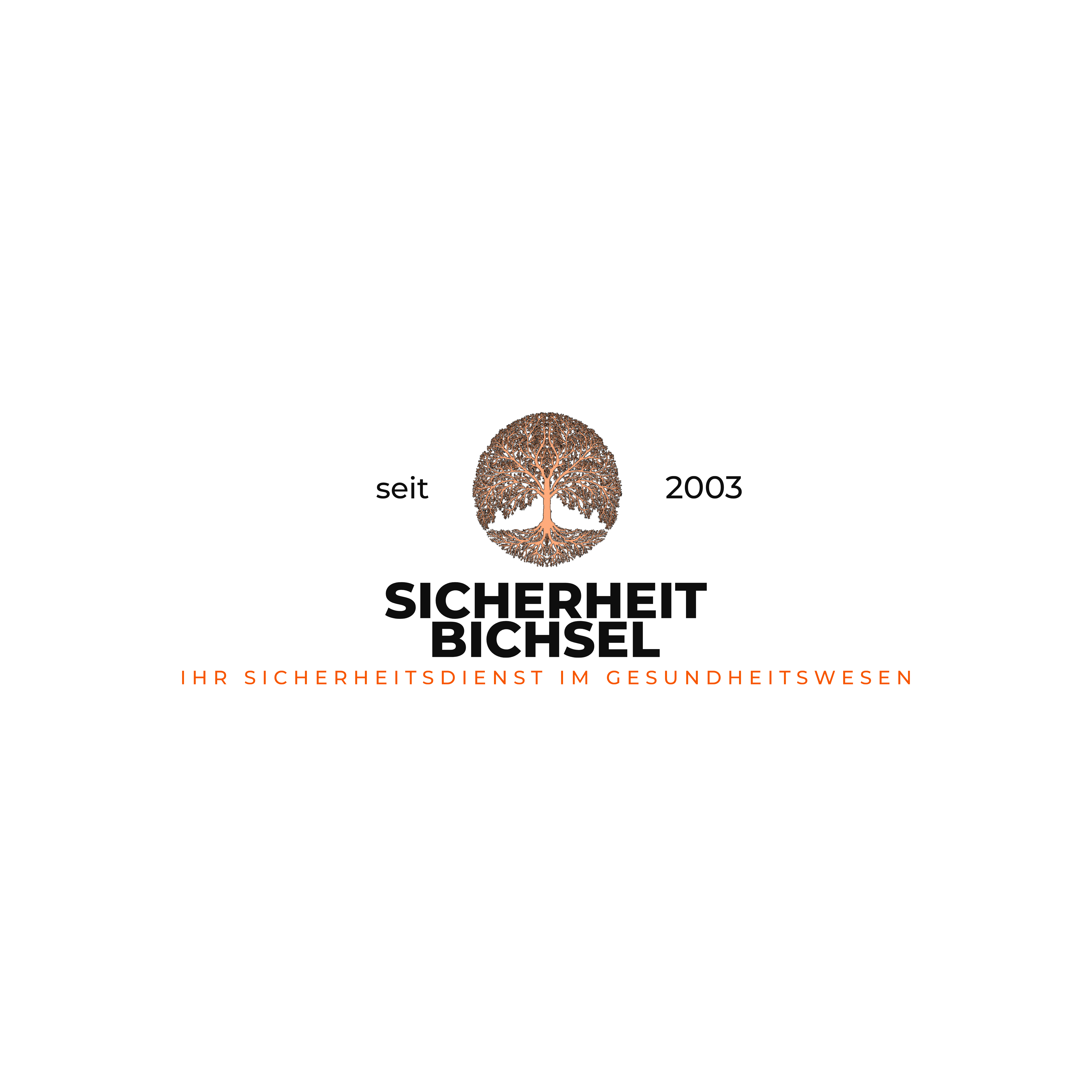 Sicherheit Bichsel GmbH Logo