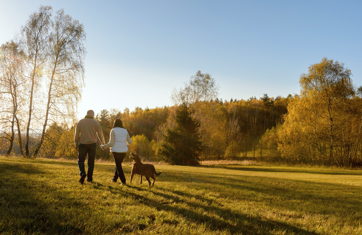 A couple on a walk with their dog in a sunlit field.