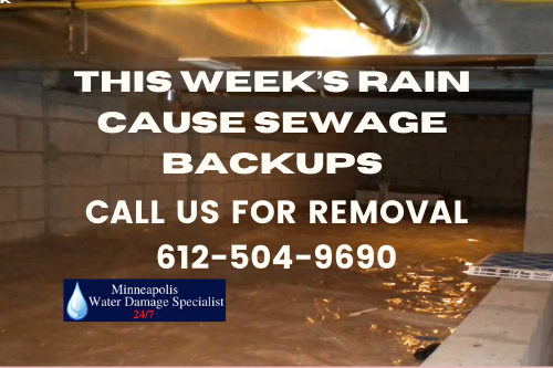 This week's rains cause sewage backups