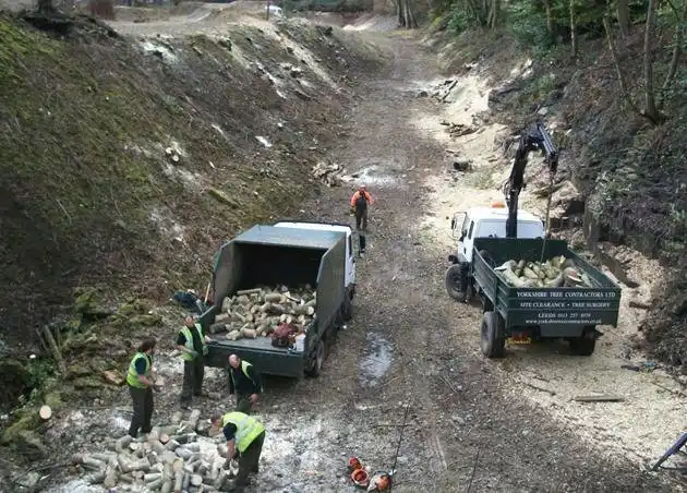 Images Yorkshire Tree Contractors