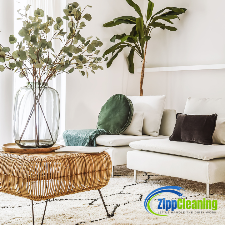 Images Zipp Cleaning