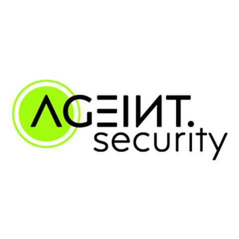 Ageint Security Logo