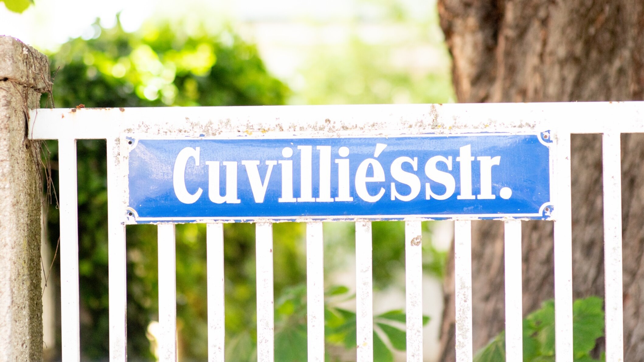 Dr. med. Theresa Luhmann, Cuvilliésstraße 14A in München