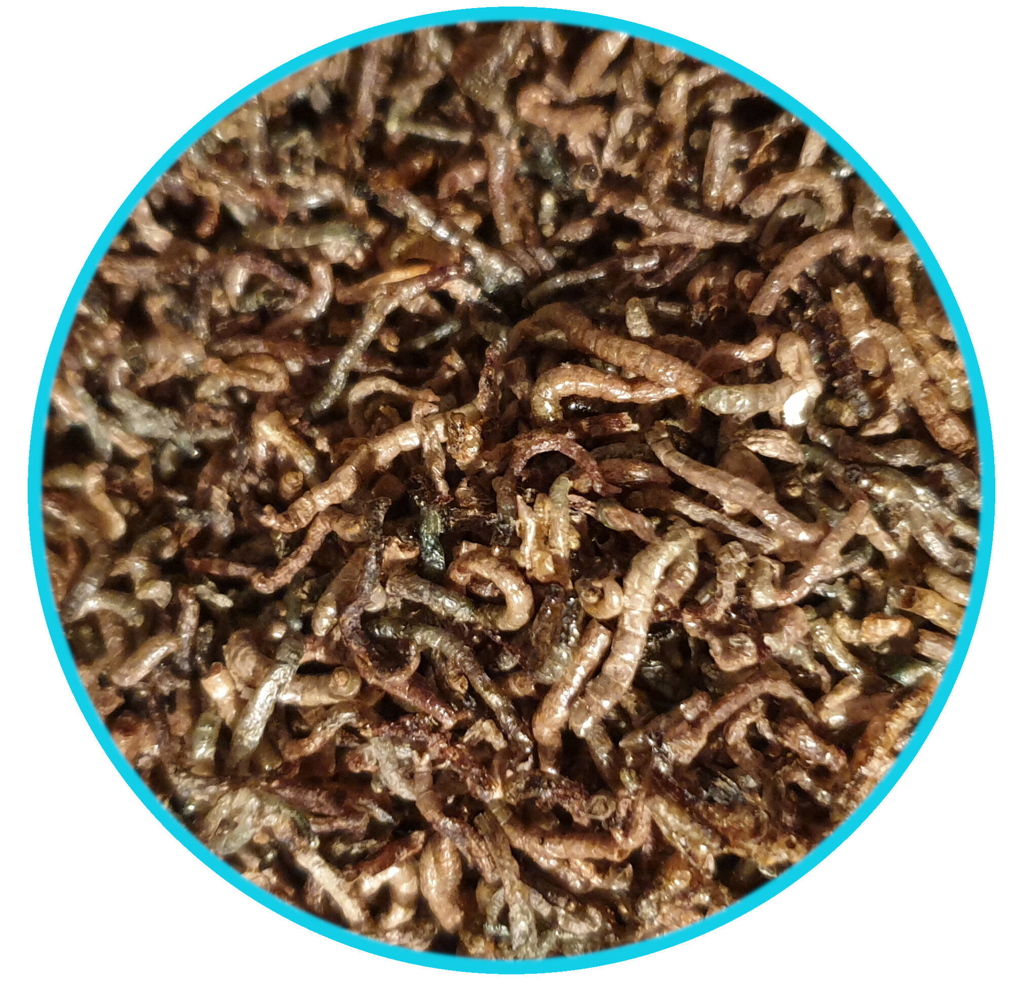 Thommys Haus- & Tierbedarf in Alt Meteln