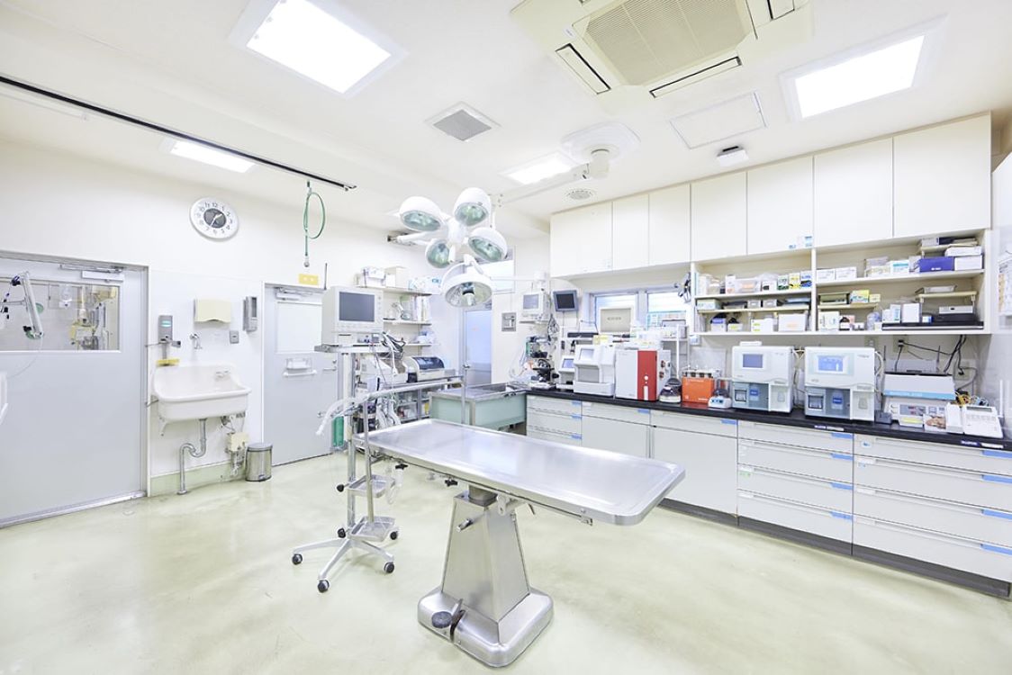 Images 江島動物病院 PAL動物病院グループ