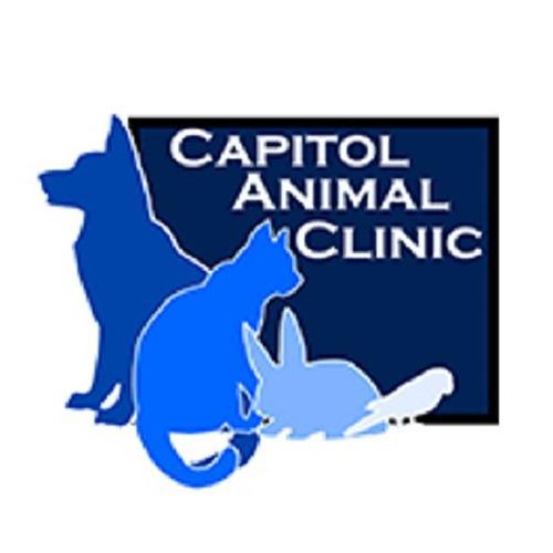 Capitol Animal Clinic PC Logo