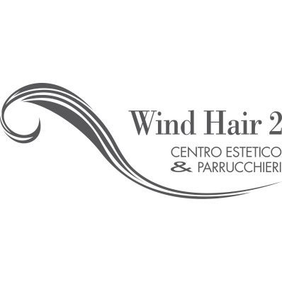 Wind Hair 2 Logo
