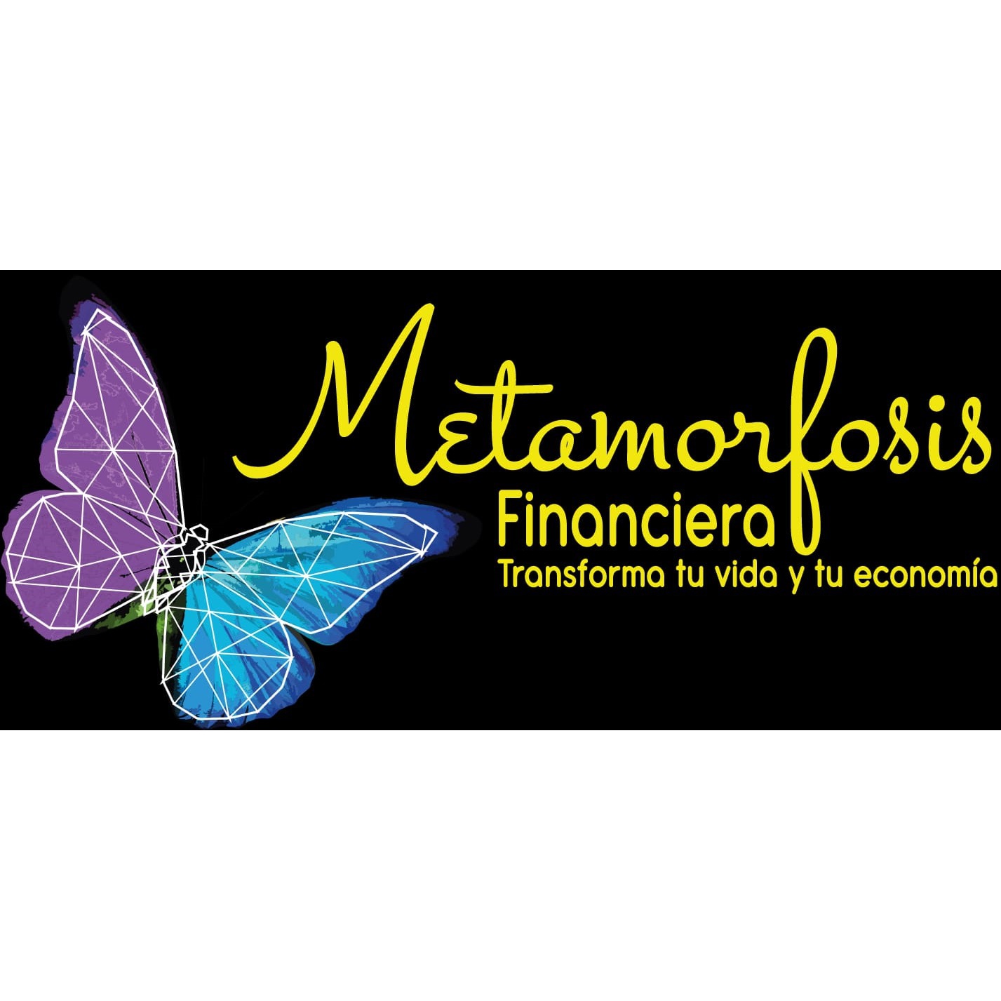 Metamorfosis Financiera Logo