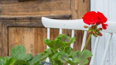 Images Erikssons Bygg & Timmer AB