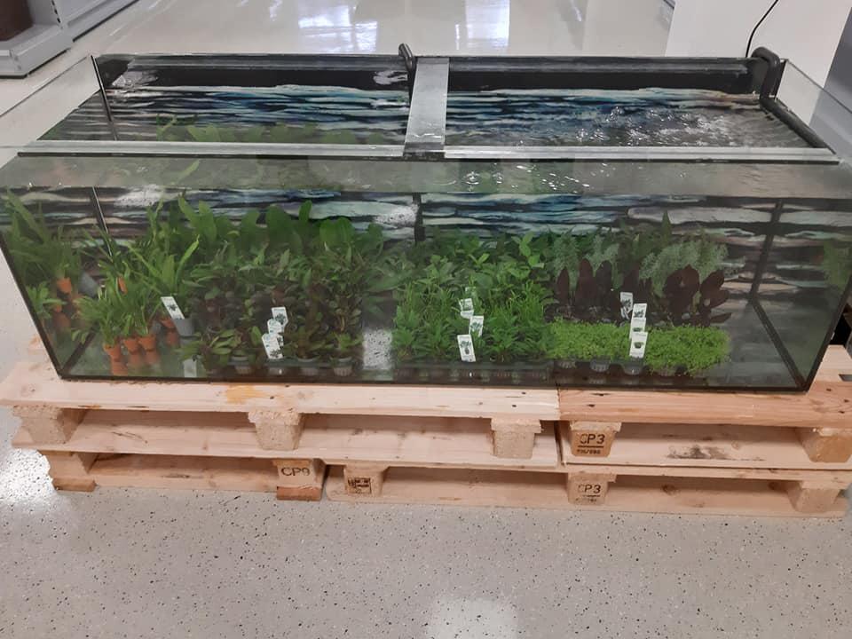 Bianca's Tierparadies, Thallerstraße 4 in Feldbach