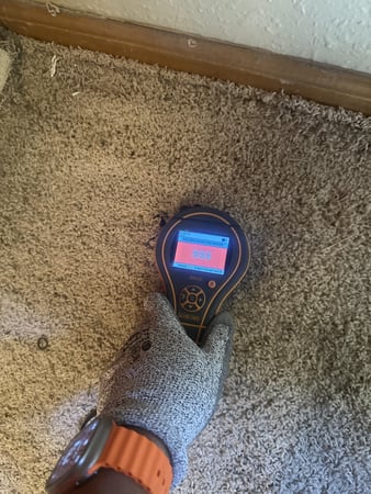 Images Elements of Restoration