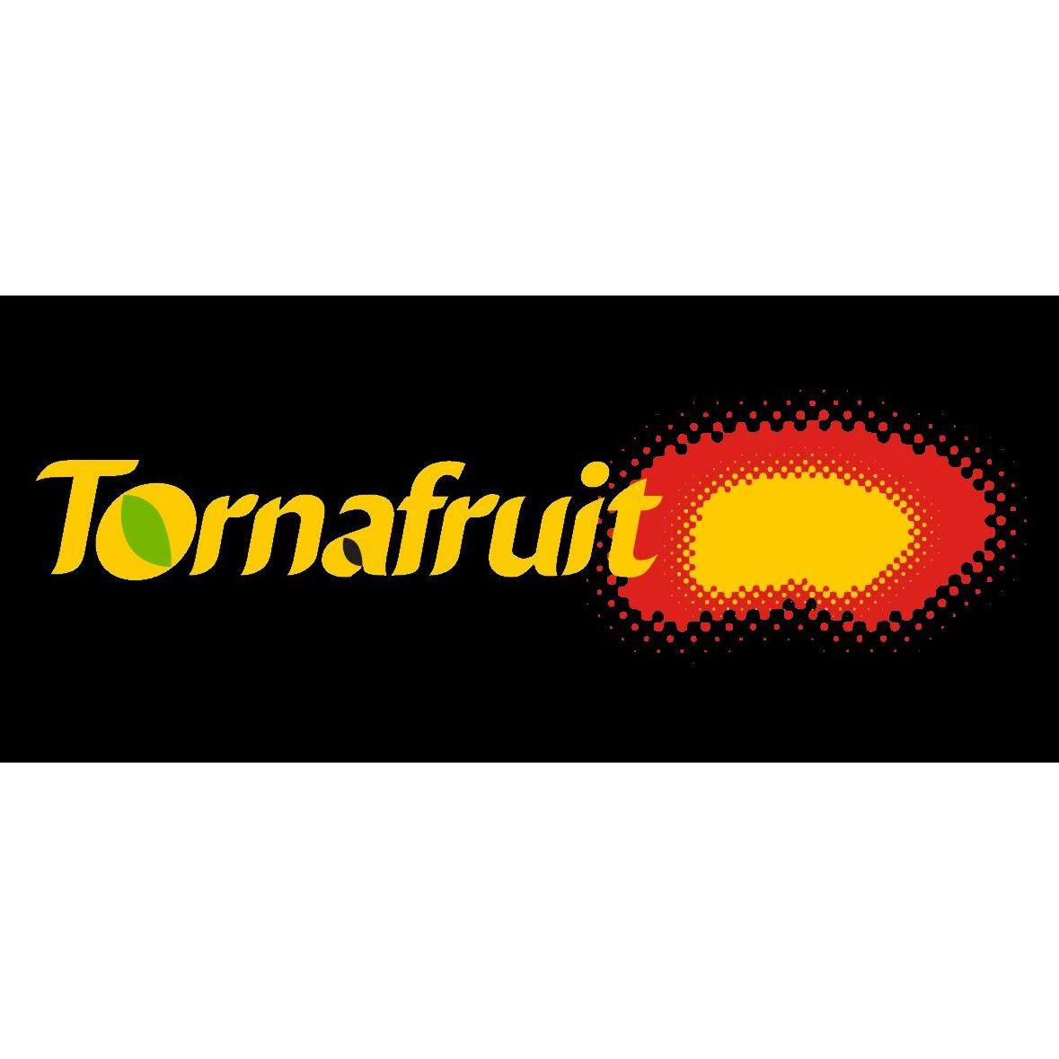 Tornafruit Sat 19 Cat Logo