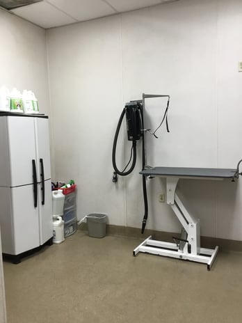 Images Petco Grooming