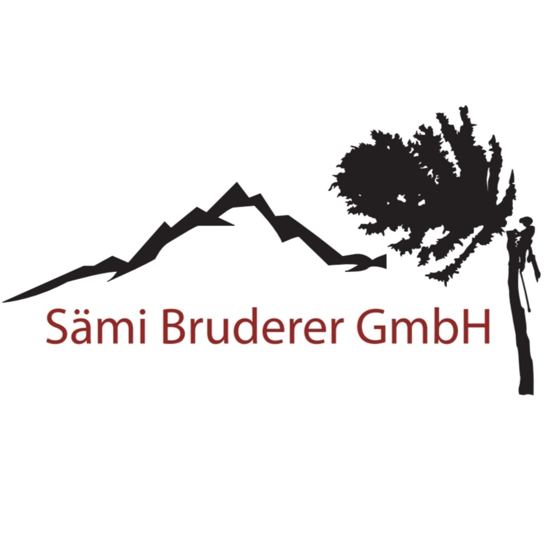 Sämi Bruderer GmbH Logo