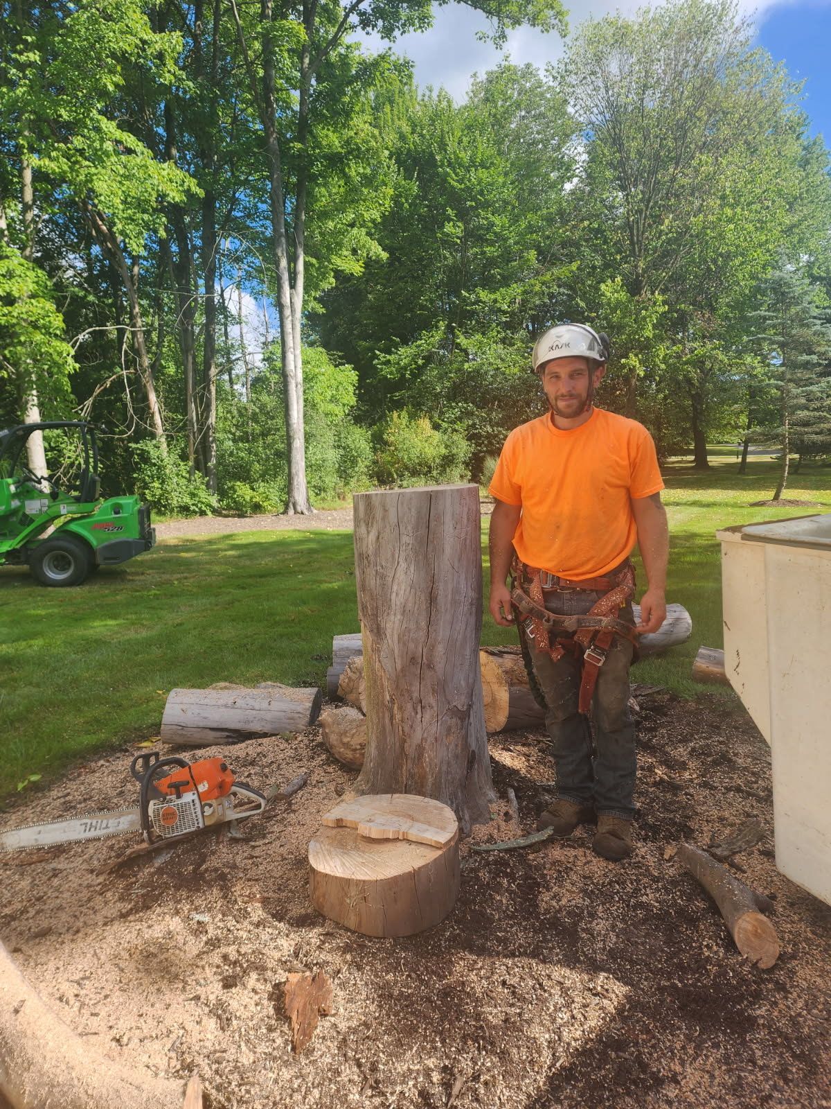 Northeast Tree and Crane Service Image