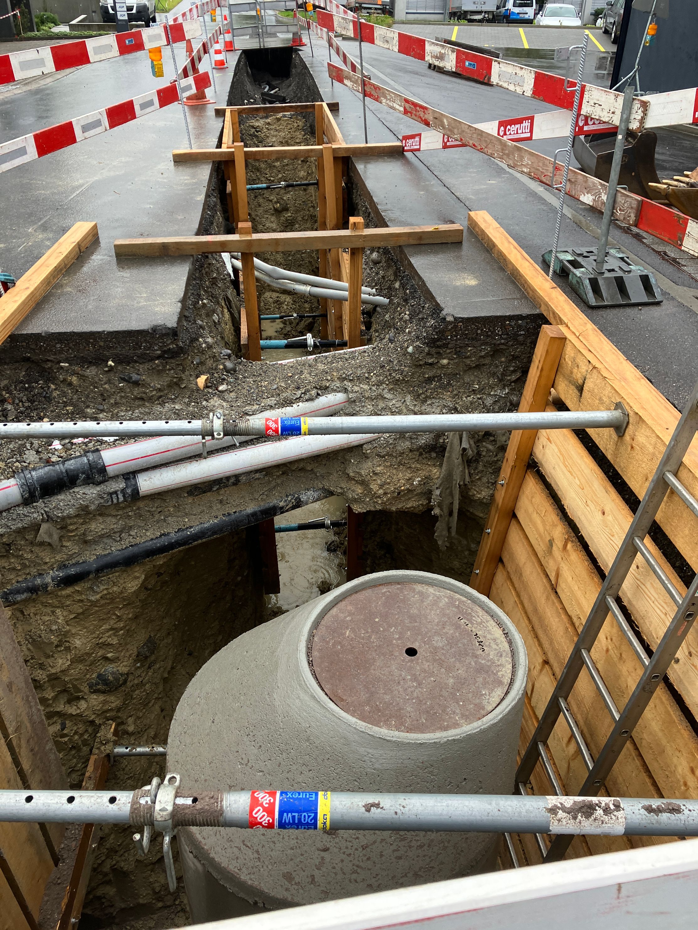 Bilder Cerutti Hans AG