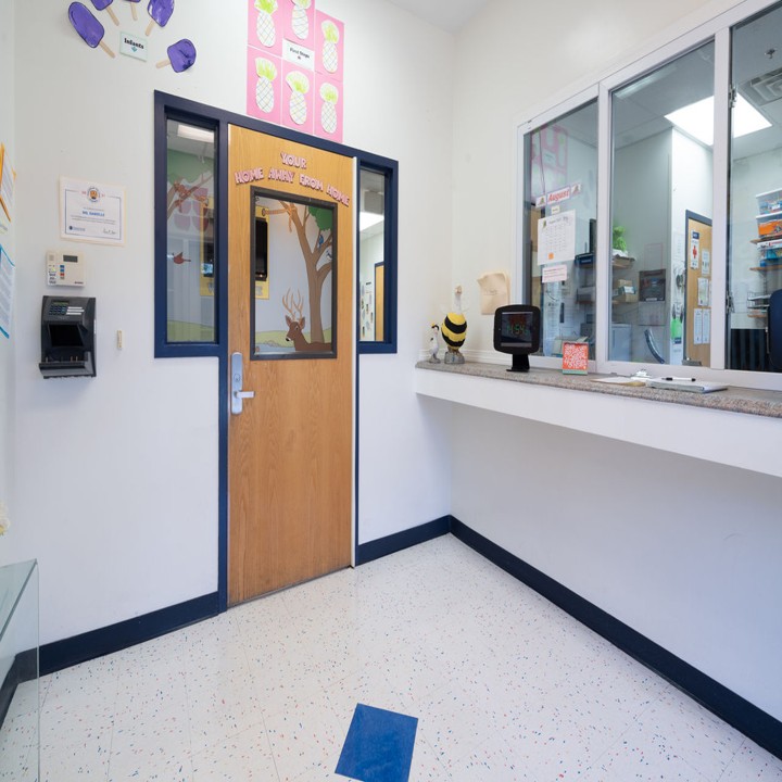 Images The Goddard School of Wayland