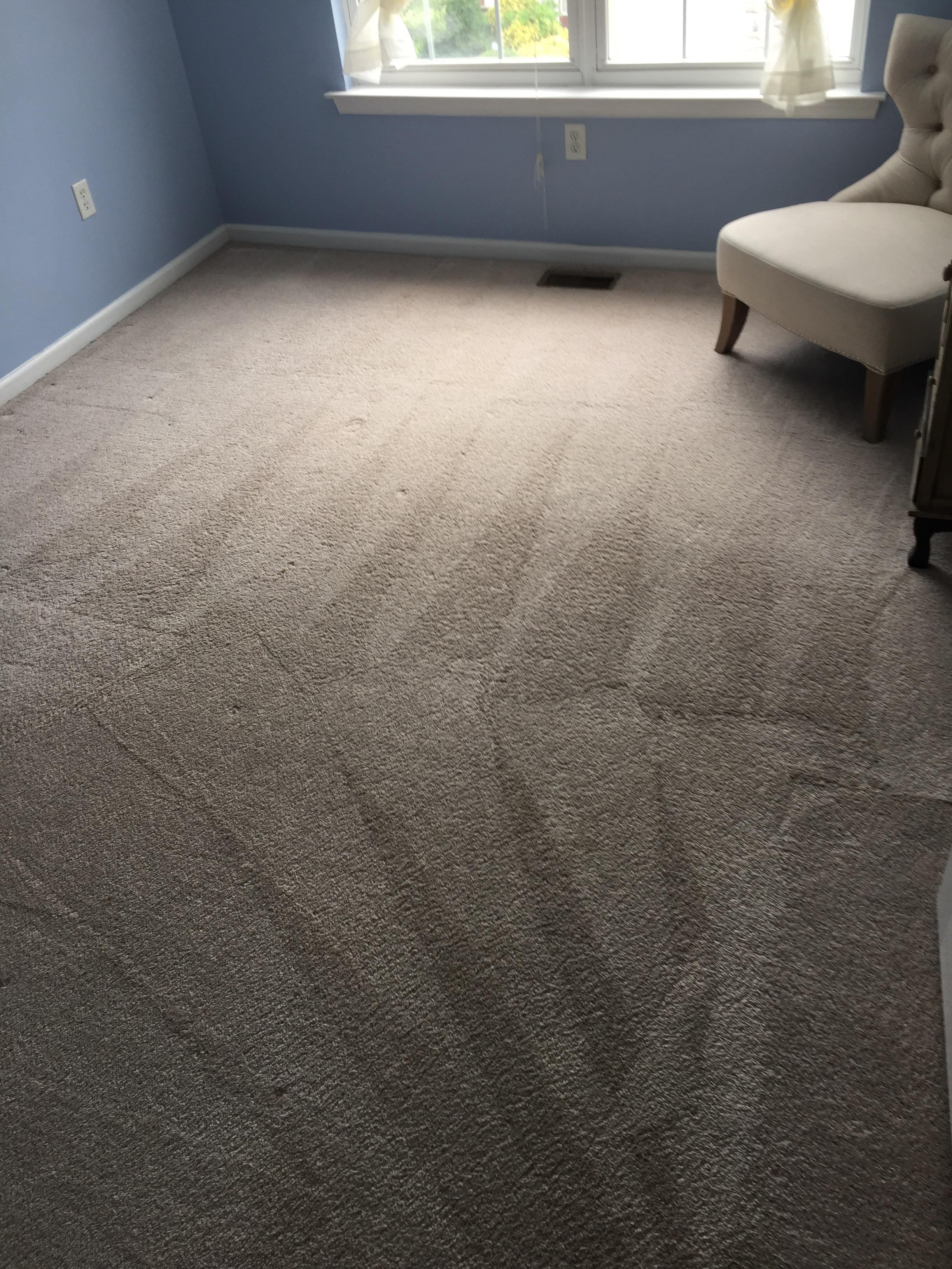 Eco Carpet & Floor Cleaning