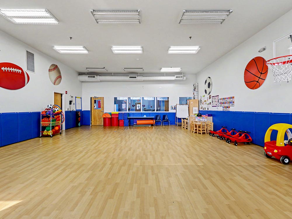 Gymnasium/Play Area