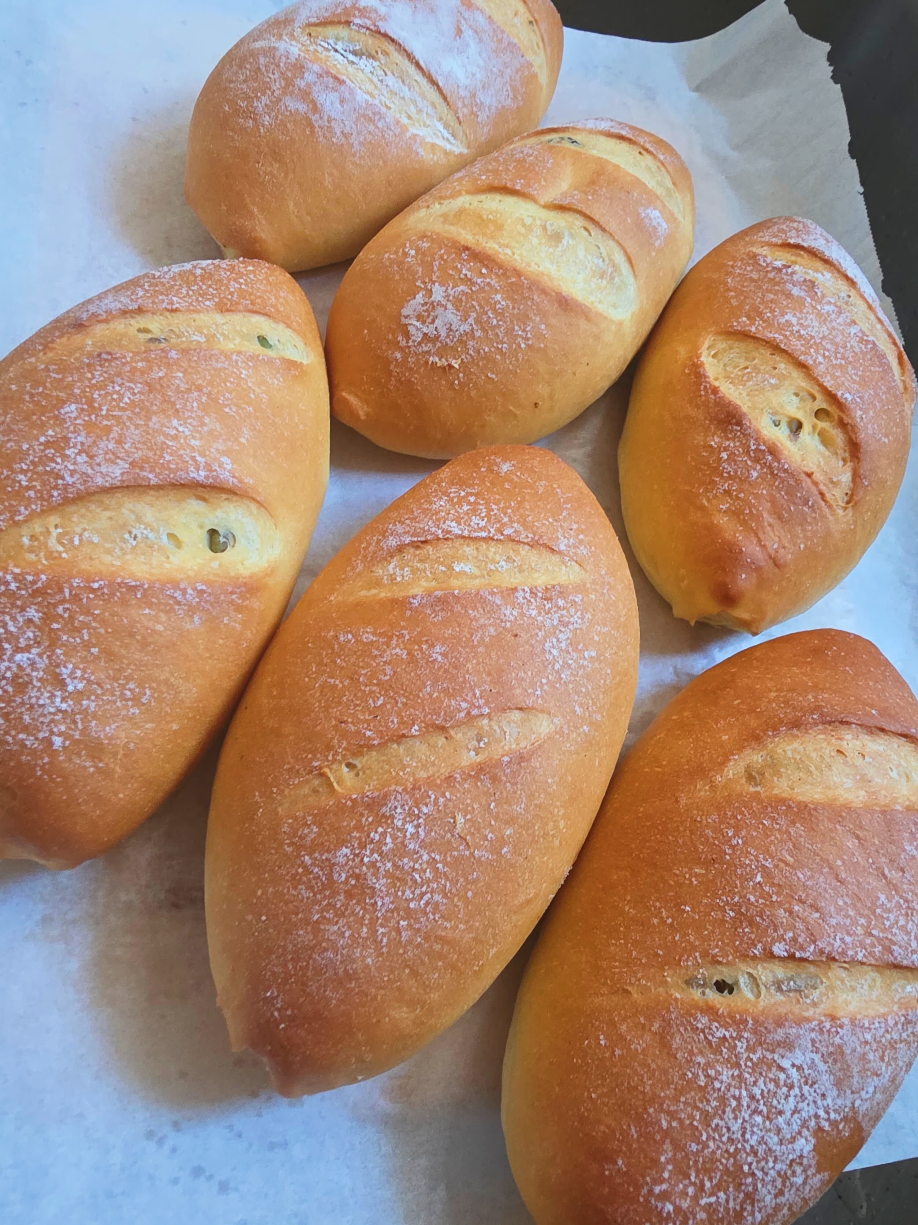 Images Maison Est | East House