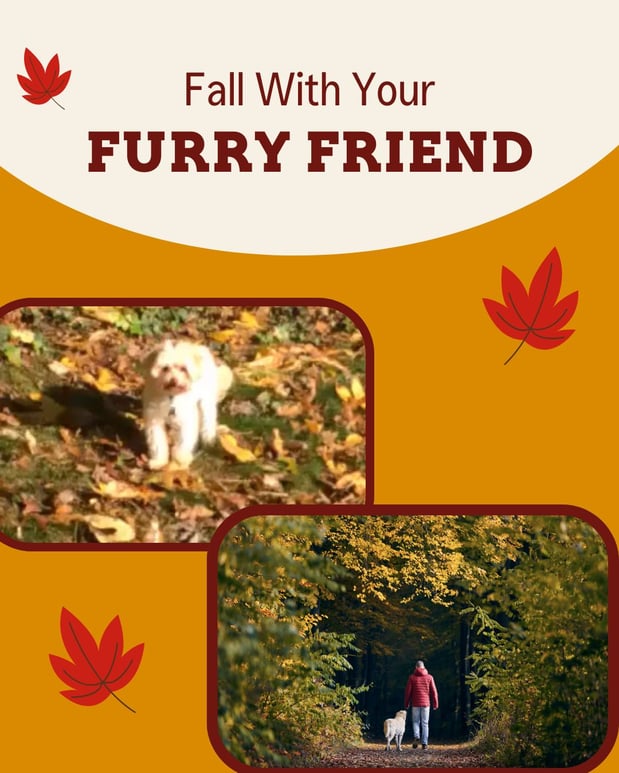 Images Rob Perelmuter - State Farm Insurance Agent