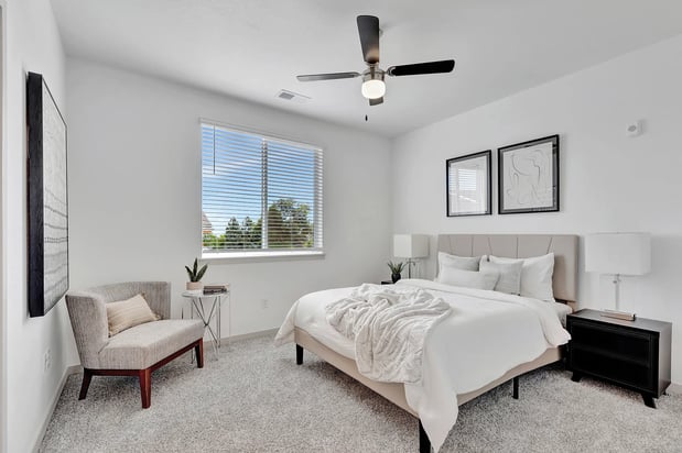 Images Arrive Longmont