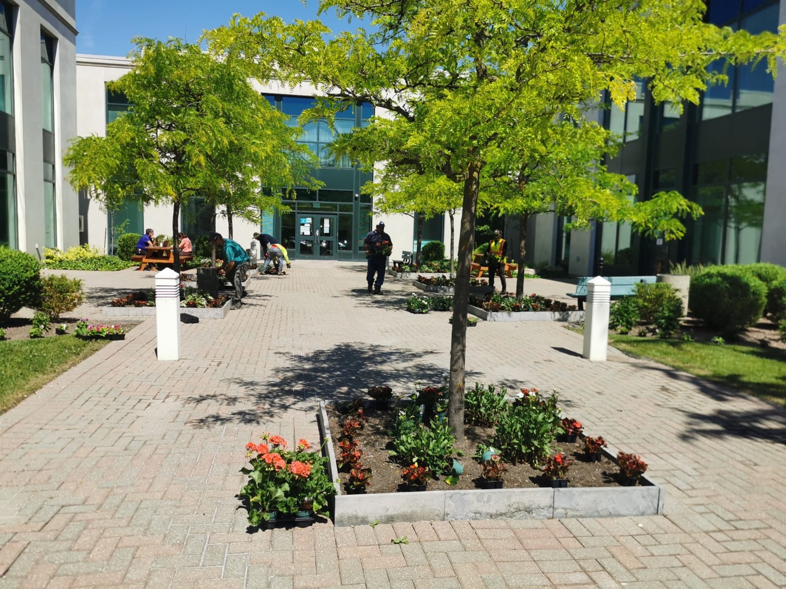 Images Green Ontario landscaping & snow removal