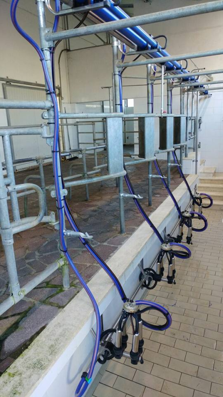 Images Mastrodomenico Agricoltura