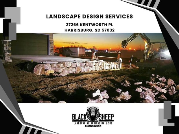 Images Black Sheep Landscape