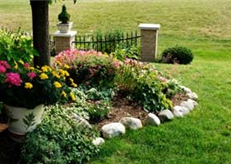 Lawn Master Lawn Care