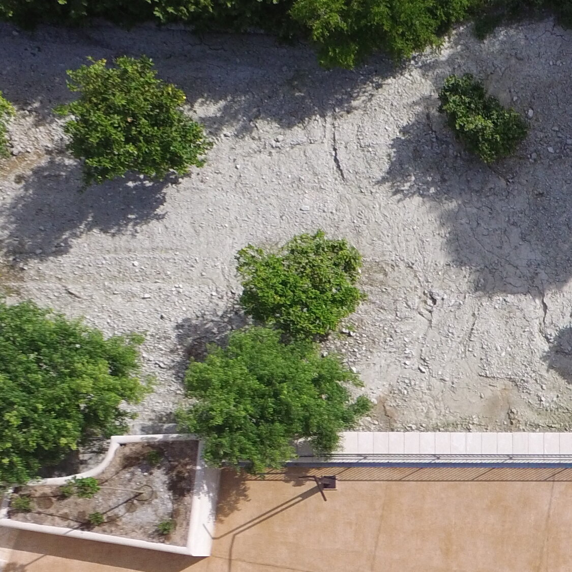 Images Finca Tagamanent
