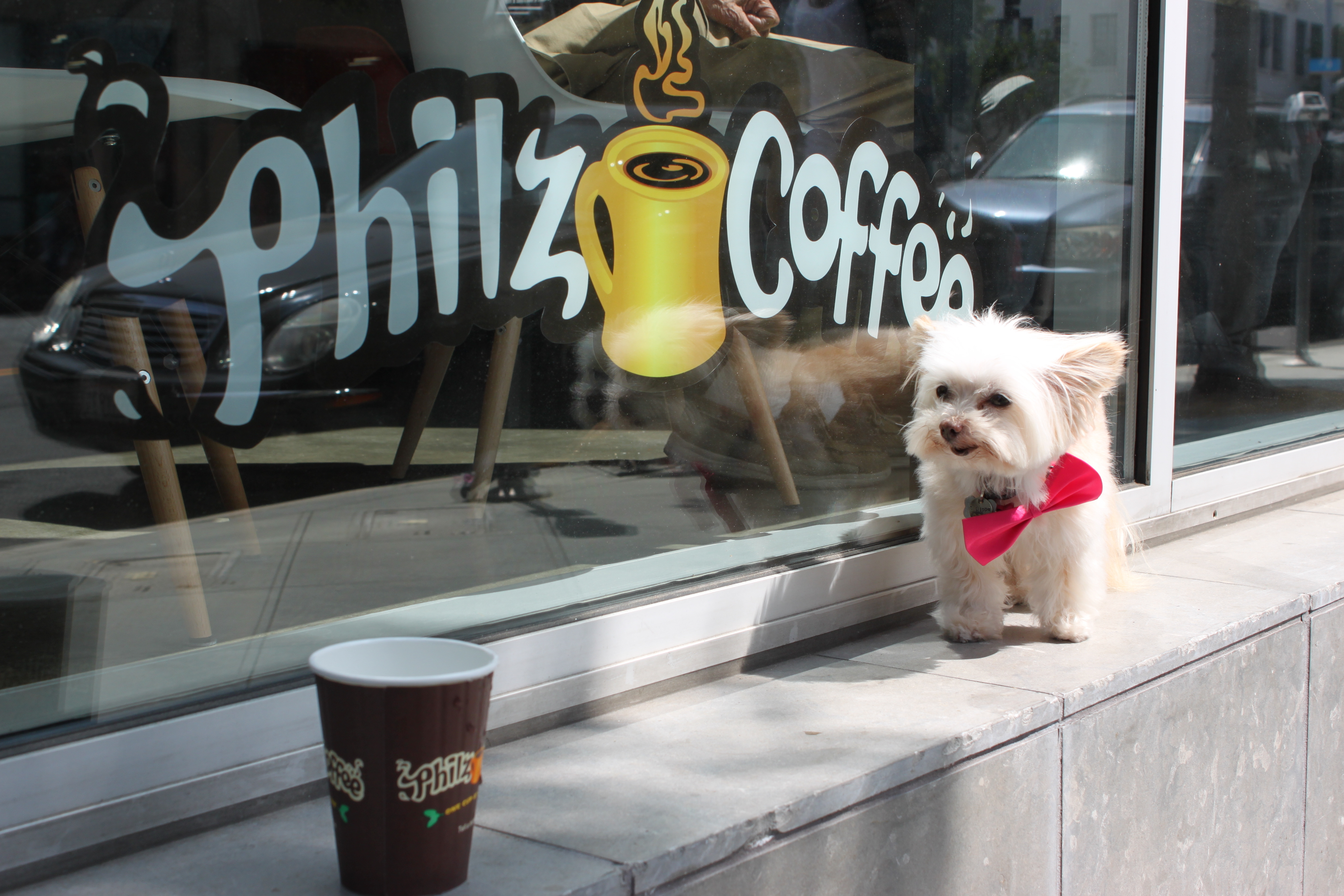 Philz Coffee Santa Monica (310)451-9500