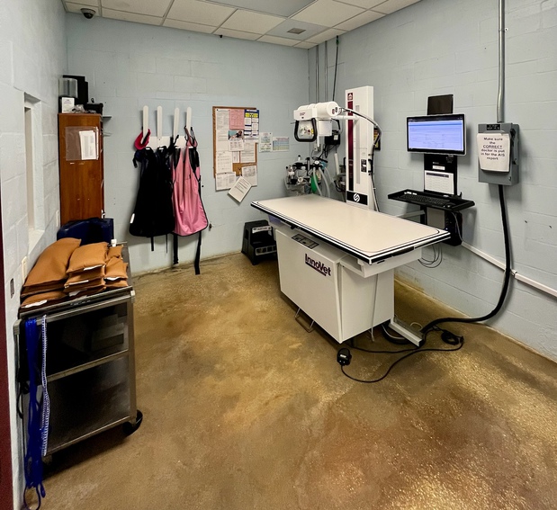Images VCA Noah’s Place Animal Medical Center