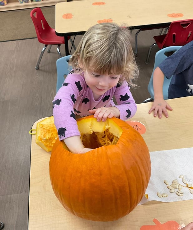 Images Primrose School at Pelham