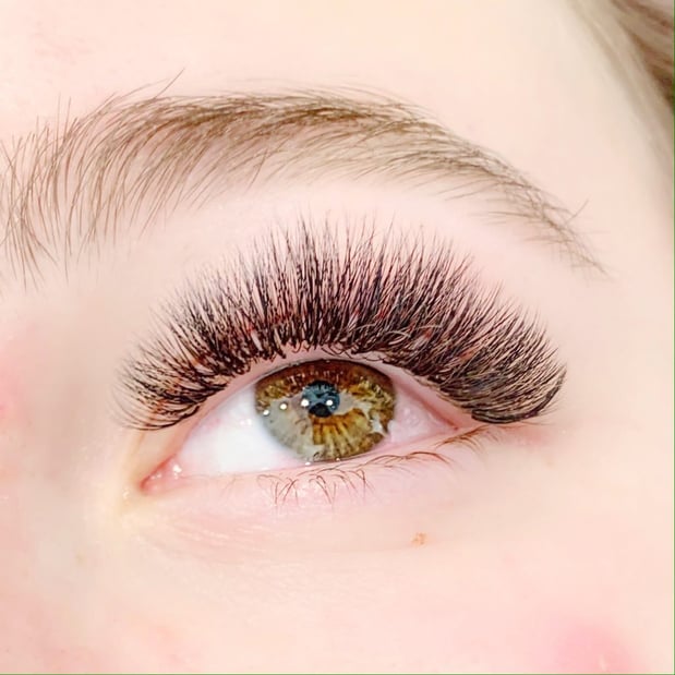 Images Laveda Lash & Brow Boutique
